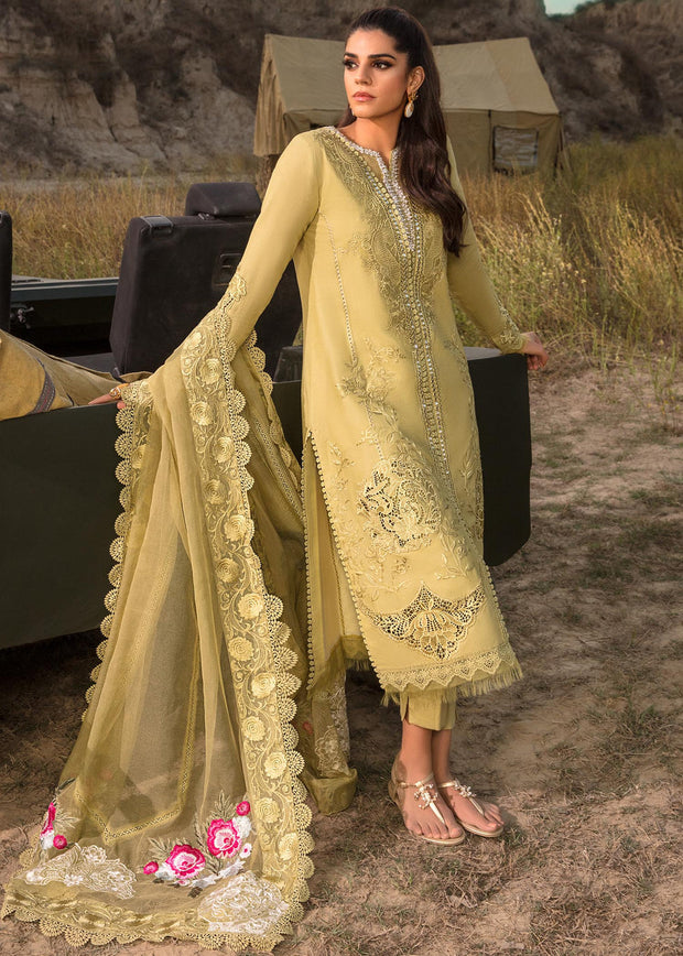 Honey Bloom | Saira Shakira
